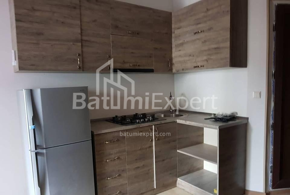 דירה 33 מ"ר - וכטנג גורגסלי, Batumi, גאורגיה