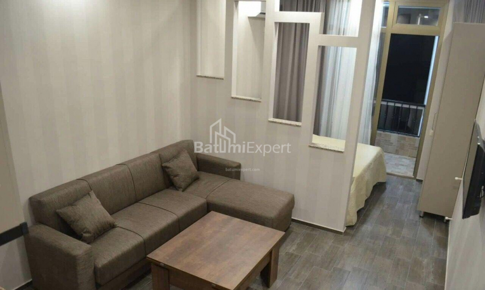 דירה 31 מ"ר - ניקו פירוסמני, Batumi, גאורגיה