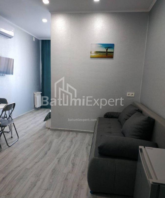 דירה 34 מ"ר - ניקו פירוסמני, Batumi, גאורגיה
