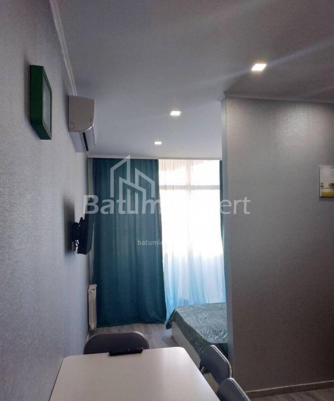 דירה 35 מ"ר - ניקו פירוסמני, Batumi, גאורגיה