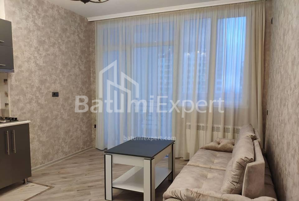 דירה 40 מ"ר - ניקו פירוסמני, Batumi, גאורגיה