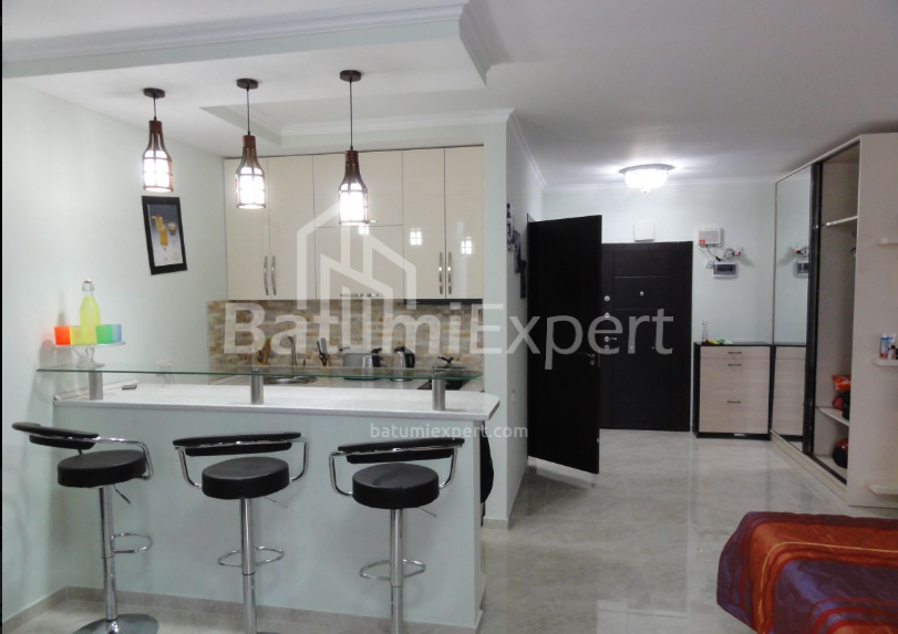 דירה 50 מ"ר - ניקו פירוסמני, Batumi, גאורגיה