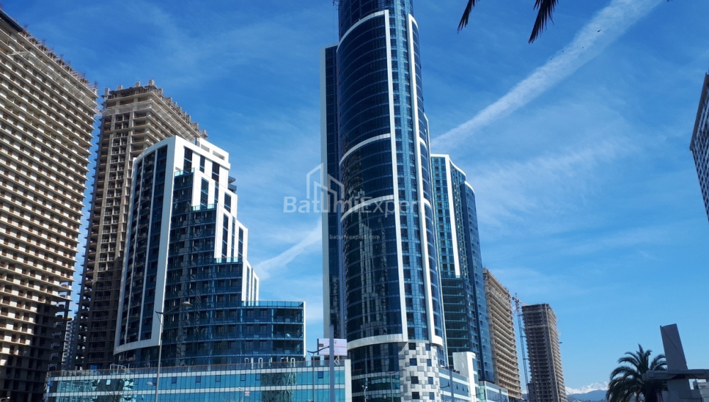 דירה 27 מ"ר - ניקו פירוסמני, Batumi, גאורגיה