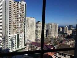 דירה 48 מ"ר - ניקו פירוסמני, Batumi, גאורגיה