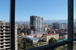 דירה 30.7 מ"ר - סמטת הגיבורים, Batumi, גאורגיה