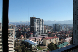 דירה 30.3 מ"ר - סמטת הגיבורים, Batumi, גאורגיה