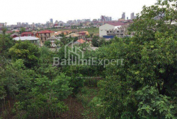 דירה 10-комн 230 m² - אורחי, Batumi