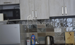 דירה 33 מ"ר - ניקו פירוסמני, Batumi, גאורגיה