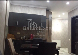 דירה 47 מ"ר - וכטנג גורגסלי, Batumi, גאורגיה