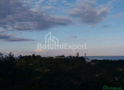 חלקת אדמה 300 מ"ר - יוריבסקאיה, Batumi, גאורגיה