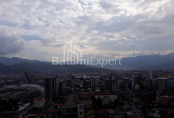 דירה 50 מ"ר - ניקו פירוסמני, Batumi, גאורגיה