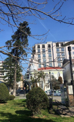 דירה 1-комн 45 m² - דוד קלדיאשווילי, Batumi
