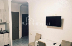 דירה 40 מ"ר - טבל-אבוזרידזה, Batumi, גאורגיה