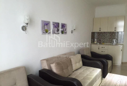 דירה 35 מ"ר - ניקו פירוסמני, Batumi, גאורגיה