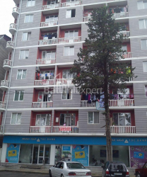 דירה 47 מ"ר - וכטנג גורגסלי, Batumi, גאורגיה