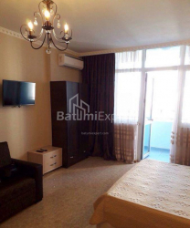 דירה 43 מ"ר - ניקו פירוסמני, Batumi, גאורגיה