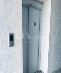 דירה 4-комн 104 m² - ניקו פירוסמני, Batumi