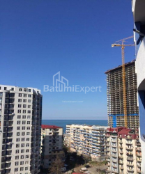 דירה 32 מ"ר - ניקו פירוסמני, Batumi, גאורגיה