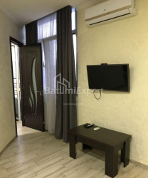 דירה 35 מ"ר - ניקו פירוסמני, Batumi, גאורגיה