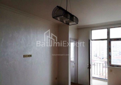 דירה 46 מ"ר - איליה צ'בצ'וואדזה, Batumi, גאורגיה
