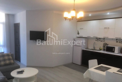 דירה 1-комн 50 m² - יוסף קובלדזה, Batumi