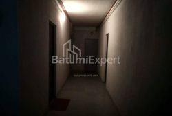דירה 3-комн 68 m² - דמטר תבדאבולי, Batumi