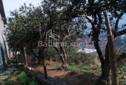 דירה 300 מ"ר - יוריבסקאיה, Batumi, גאורגיה