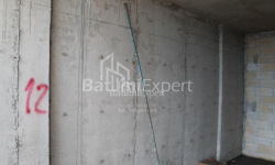 דירה 31 מ"ר - ניקו פירוסמני, Batumi, גאורגיה