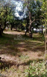 דירה 259 מ"ר - יוריבסקאיה, Batumi, גאורגיה