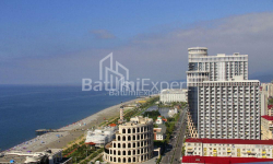 דירה 28 מ"ר - יוריבסקאיה, Batumi, גאורגיה