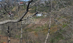 דירה 2-комн 170 m² - יוריבסקאיה, Batumi