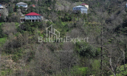 דירה 2-комн 170 m² - יוריבסקאיה, Batumi