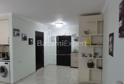 דירה 1-комн 50 m² - ניקו פירוסמני, Batumi