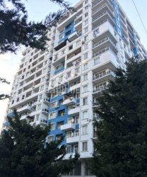 דירה 3-комн 77 m² - ניקו פירוסמני, Batumi