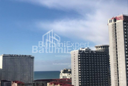 דירה 53 מ"ר - ניקו פירוסמני, Batumi, גאורגיה