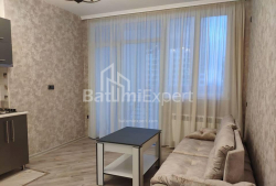 דירה 40 מ"ר - ניקו פירוסמני, Batumi, גאורגיה
