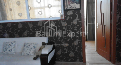 דירה 65 מ"ר - ניקו פירוסמני, Batumi, גאורגיה