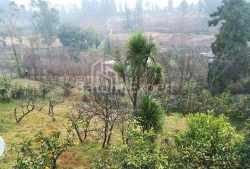 דירה 8-комн 250 m² - יוריבסקאיה, Batumi