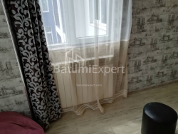 דירה 58 מ"ר - ניקו פירוסמני, Batumi, גאורגיה