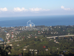 בית פרטי 6-комн 5000 m² - מזגוורטה, Chakvi