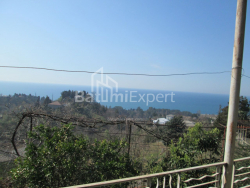 בית פרטי 4000 מ"ר - דוד אגמשנבלי, Kobuleti, גאורגיה