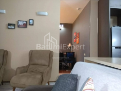 דירה 40 מ"ר - שריף חימשיאשווילי, Batumi, גאורגיה