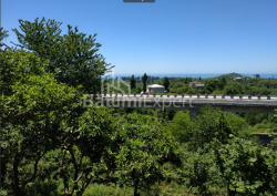 חלקת אדמה 536 m² - אגמשנבלי, Chakvi