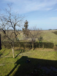 חלקת אדמה 4260 m² - דוד אגמשנבלי, Kobuleti