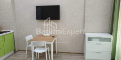 דירה 33 מ"ר - שלווה אינסרידזה, Batumi, גאורגיה