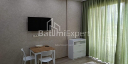 דירה 33 מ"ר - שלווה אינסרידזה, Batumi, גאורגיה