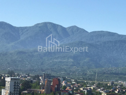 דירה 28.8 מ"ר - יוסף קובלדזה, Batumi, גאורגיה