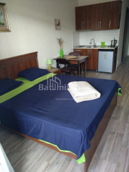 דירה 28 מ"ר - יוסף קובלדזה, Batumi, גאורגיה