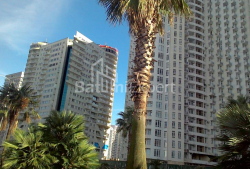 דירה 29 מ"ר - זוראבה גורגילדזה, Batumi, גאורגיה