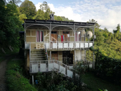 בית פרטי 4-комн 2501 m² - אקאקי שיינידזה, Khelvachauri
